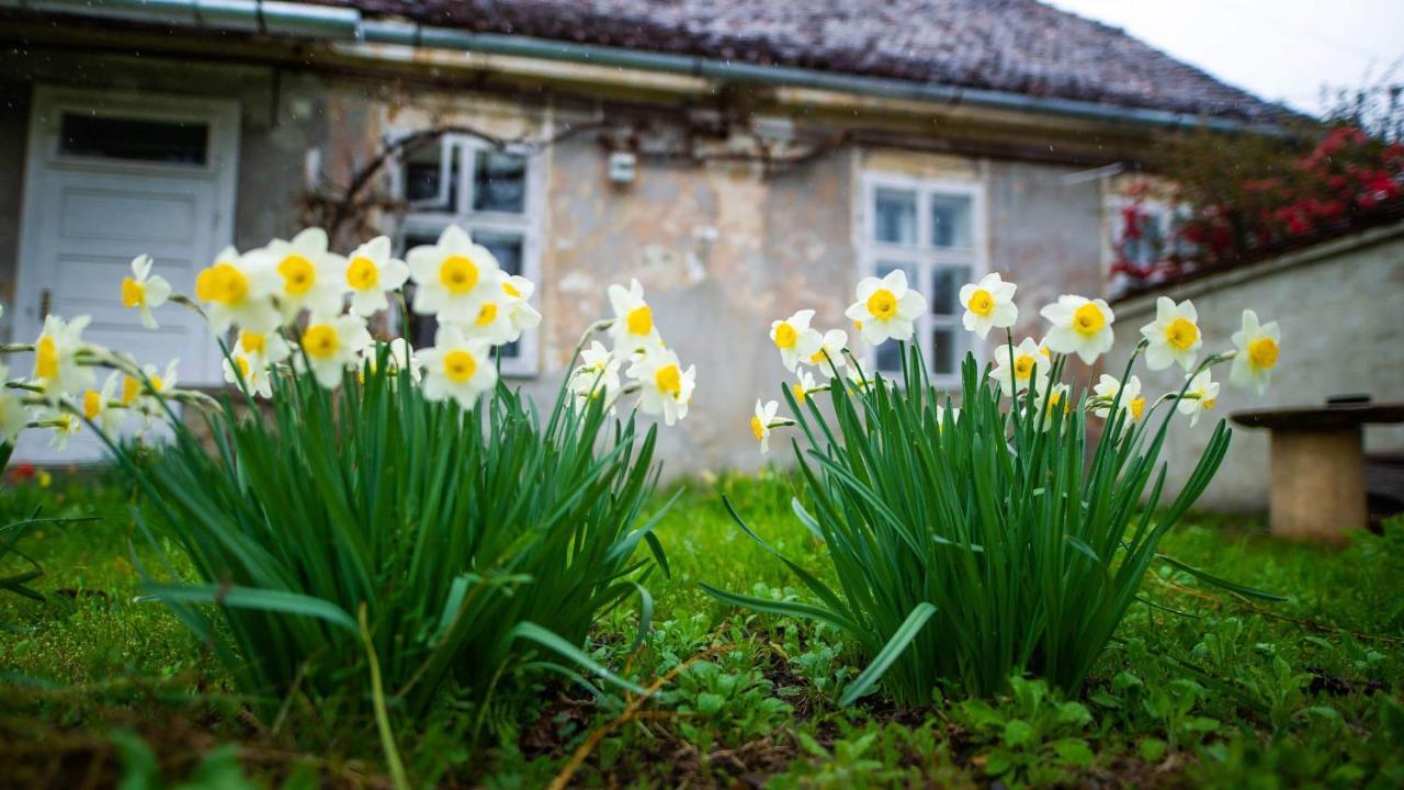 Gaestehaus Fogarasch Făgăraş Kültér fotó